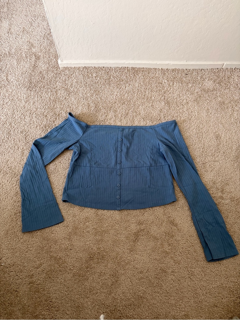Forever 21 Blue Off-Shoulder Button-Front Ribbed Crop Top